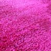 University of Oklahoma 8'x10' Rug