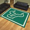 South Florida 8'x10' Rug
