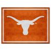 Texas 8'x10' Rug