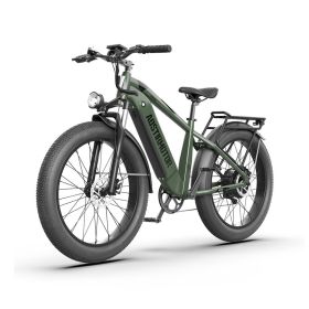 New Pattern Electric Bike Fat Tire With Removable Lithium Battery for Adults (Motor: 1000W, Color: Dark Green)