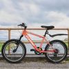 20 Inch Bike Kids Bicycle Kids Montain Bike Gear 7 Speed Bike for Boys and Girls