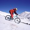 24 Inch Fat Tire Bike Adult/Youth Full Shimano 7 Speeds Mountain Bike, Dual Disc Brake, High-Carbon Steel Frame, Front Suspension, Mountain Trail Bike